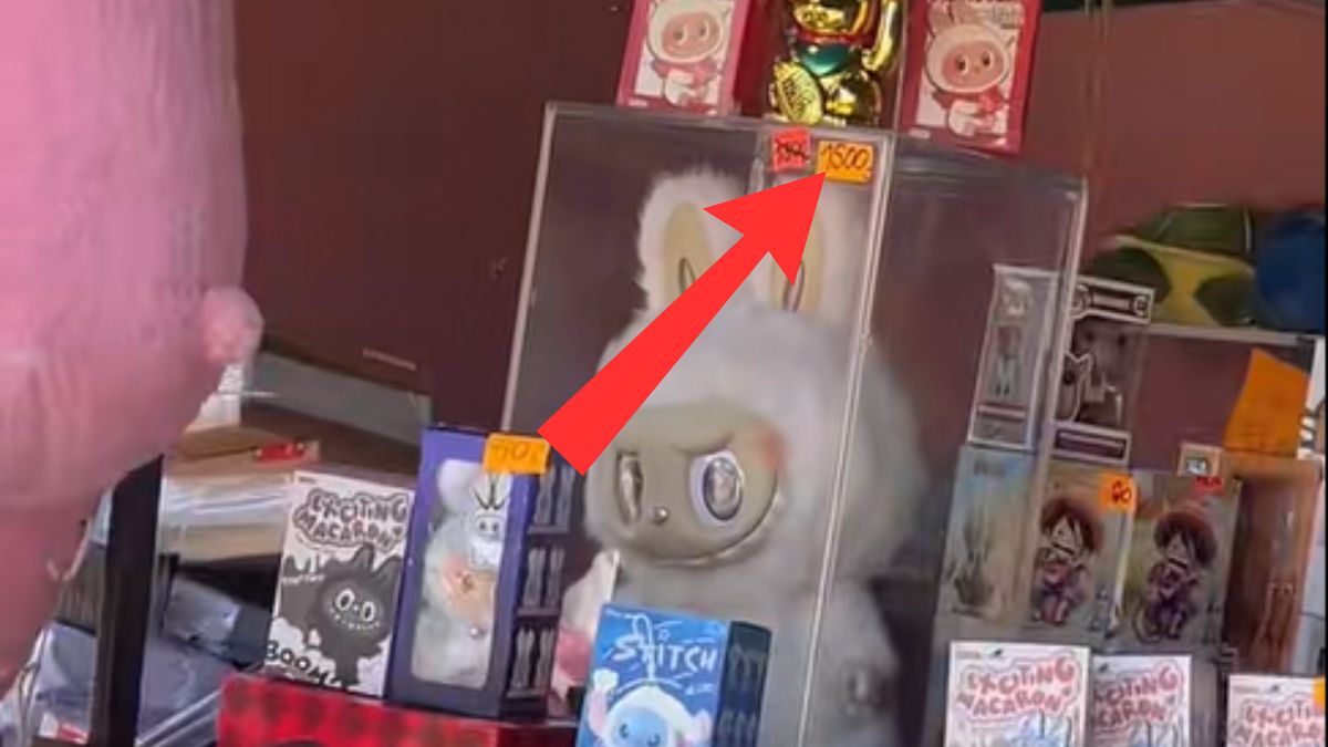 Labubu za 1500 zł w Łebie.