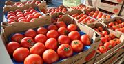 Są pierwsze ceny warzyw. Kilogram pomidorów nawet za 27 zł