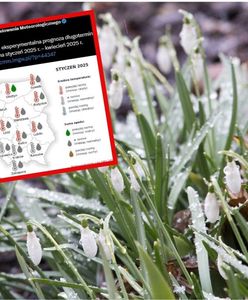 Zima 2025: Cieplejsza niż kiedykolwiek?