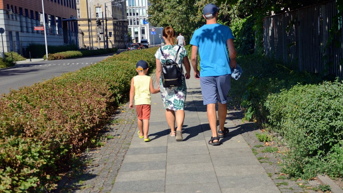 Z 800 plus ma skorzystać ponad 6,5 mln dzieci