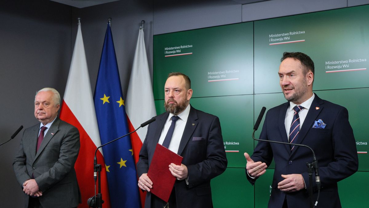 Paweł Meyer, Tomasz Szymański, Jacek Czerniak