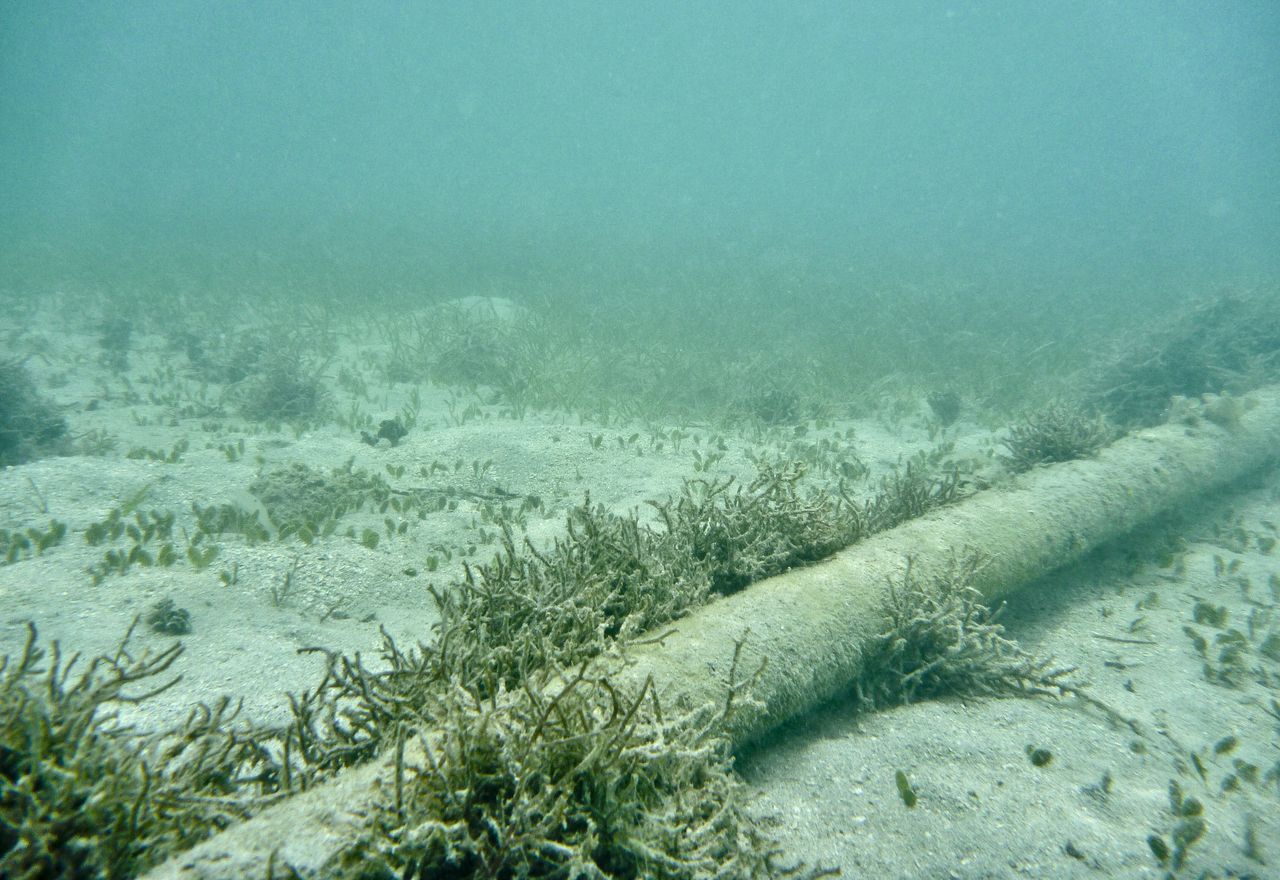 Kolejny incydent na Bałtyku. Szwedzi alarmują
