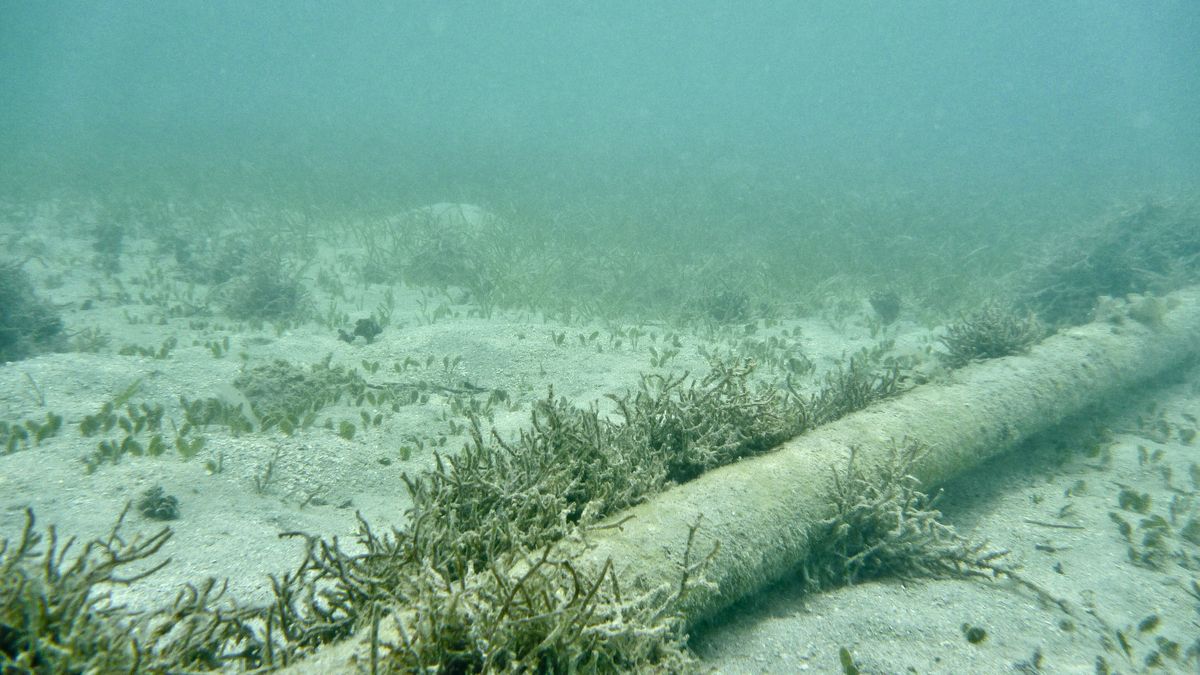 Kolejny incydent na Bałtyku