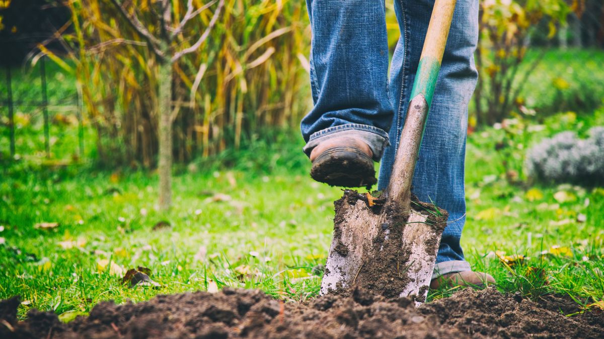 Tylko tak pozbywam się chwastów z ziemi 