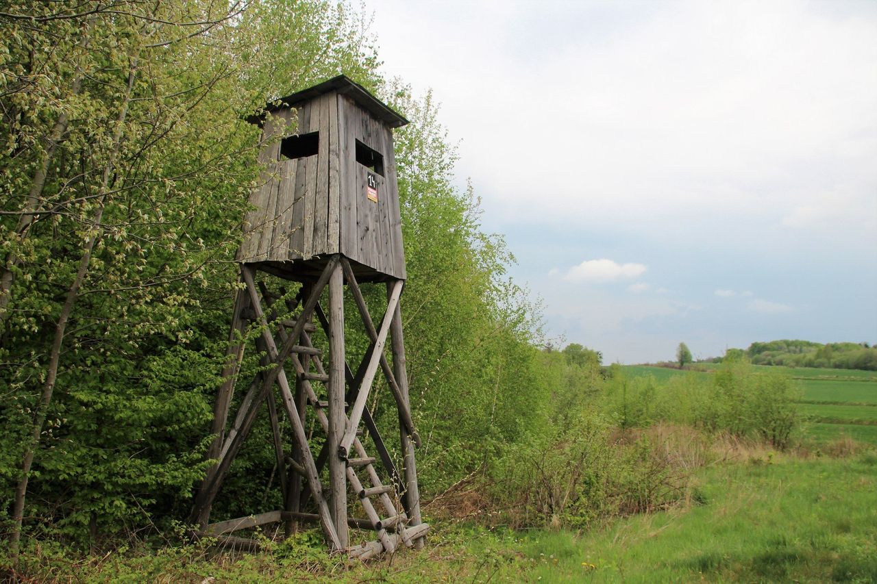 Śmiertelny strzał na polowaniu koło Milejowa. Myśliwy w areszcie