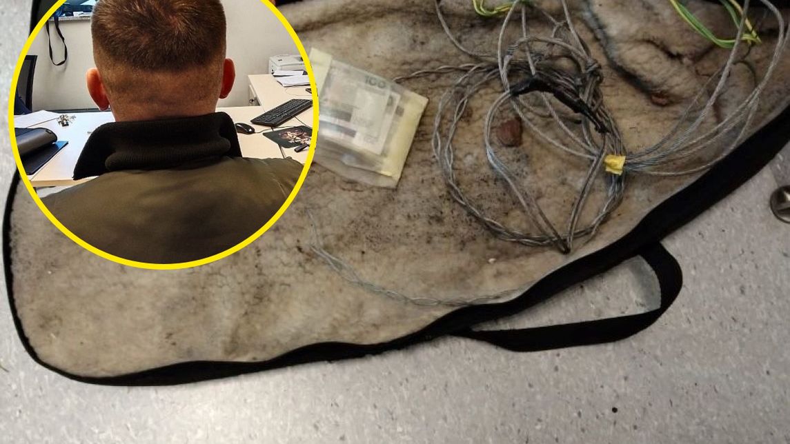 Przestępca ukrywał się w lesie 