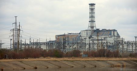 Znaleźli go koło Czarnobyla. Nie powinien się tam znaleźć