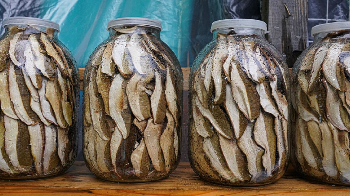 Wysyp grzybów nie tylko w lasach. Sanepid ostrzega kupujących