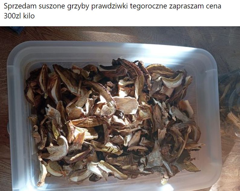 Sanepid ostrzega, by szczególną ostrożność zachować przy zakupie grzybów suszonych