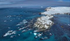 Polscy naukowcy tworzą nowy chroniony obszar w Antarktyce