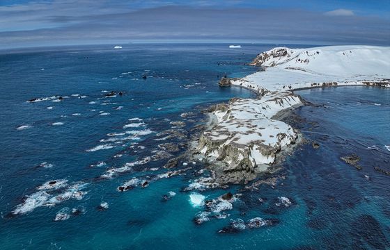 Polscy naukowcy tworzą nowy chroniony obszar w Antarktyce