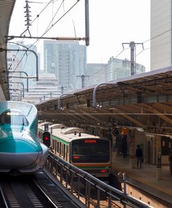 Wpadka w japońskiej kolei. Wszystko przez nieproszonego gościa