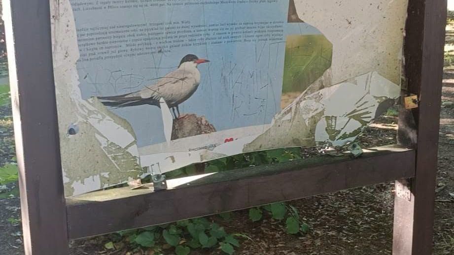 Wandalizm w Gminie Nowy Duninów 