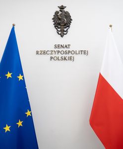 Сенат Польщі визнав владу Російської Федерації терористичним режимом