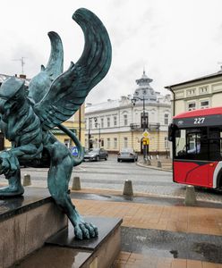 Jazda autobusami za darmo. Chcą, by mieszkańcy porzucili samochody