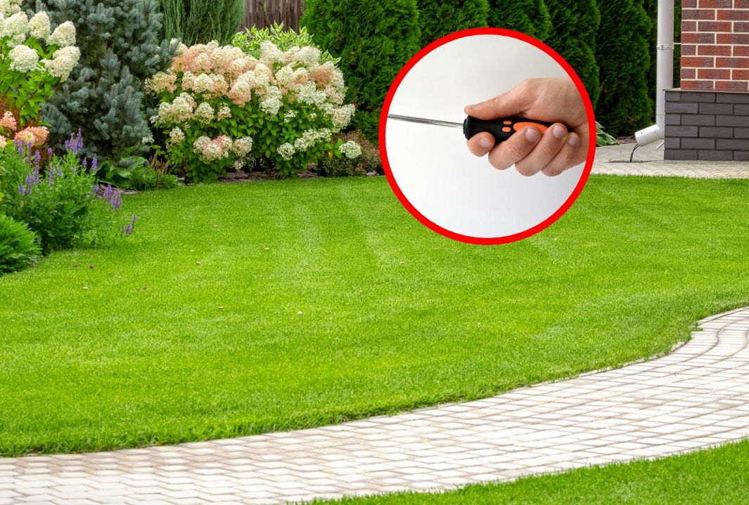 How to keep your lawn lush during scorching summer heat