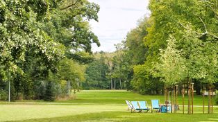 Breń: Gdzie na weekend? Odpocznij w cieniu drzew