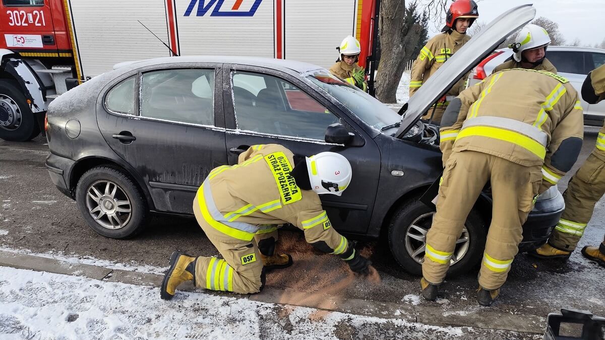 Strażacy zabezpieczają dogasający pojazd