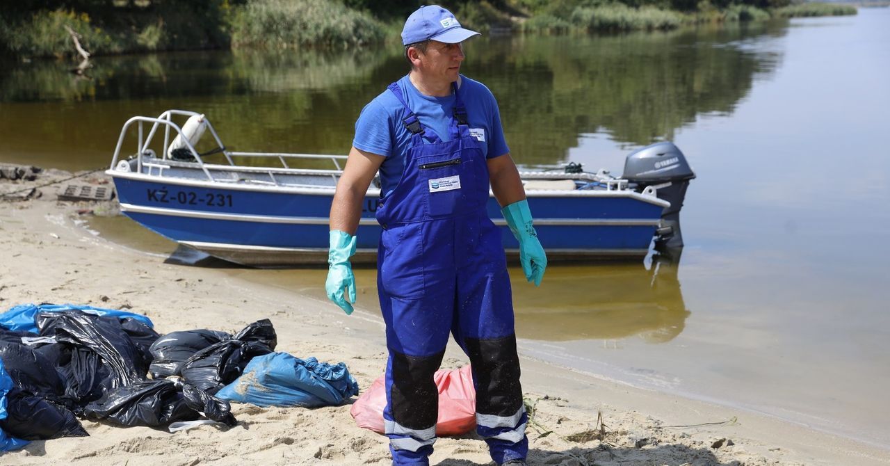 Śnięte ryby w Kanale Gliwickim. Złota alga znowu w natarciu