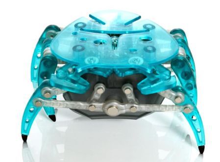 Trzy roborobale HEXBUG - wyniki konkursu