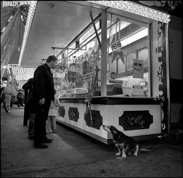 „Dog Stories" - pieskie życie na czarno-białych fotografiach Roberta Kresy 16