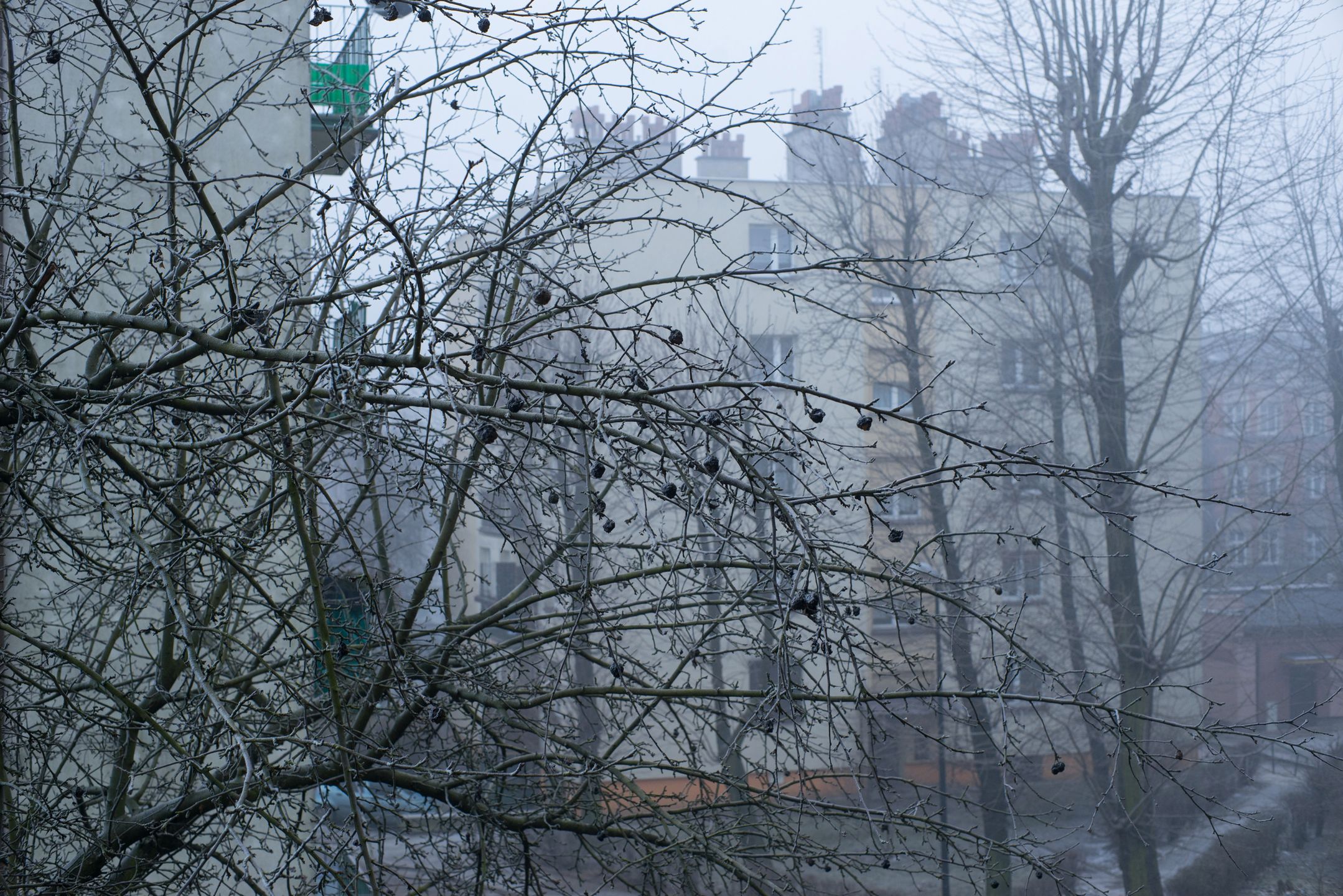 Voigtländer VM 50 mm f/1.1 Nokton - bardzo jasna pięćdziesiątka, która kreuje własną rzeczywistość [test] 48