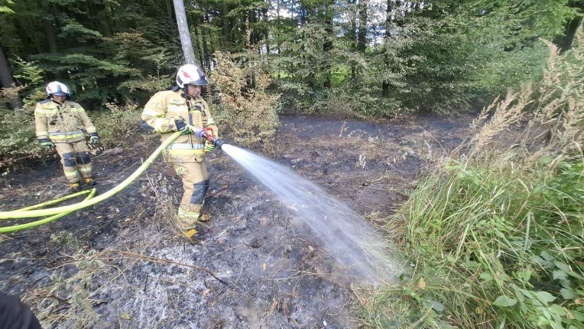 W lesie doszło do zaprószenia ognia