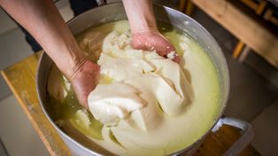 Po ten ser powinni sięgać seniorzy i osoby pracujące fizycznie. Ma mnóstwo białka, dba o zdrowie kości