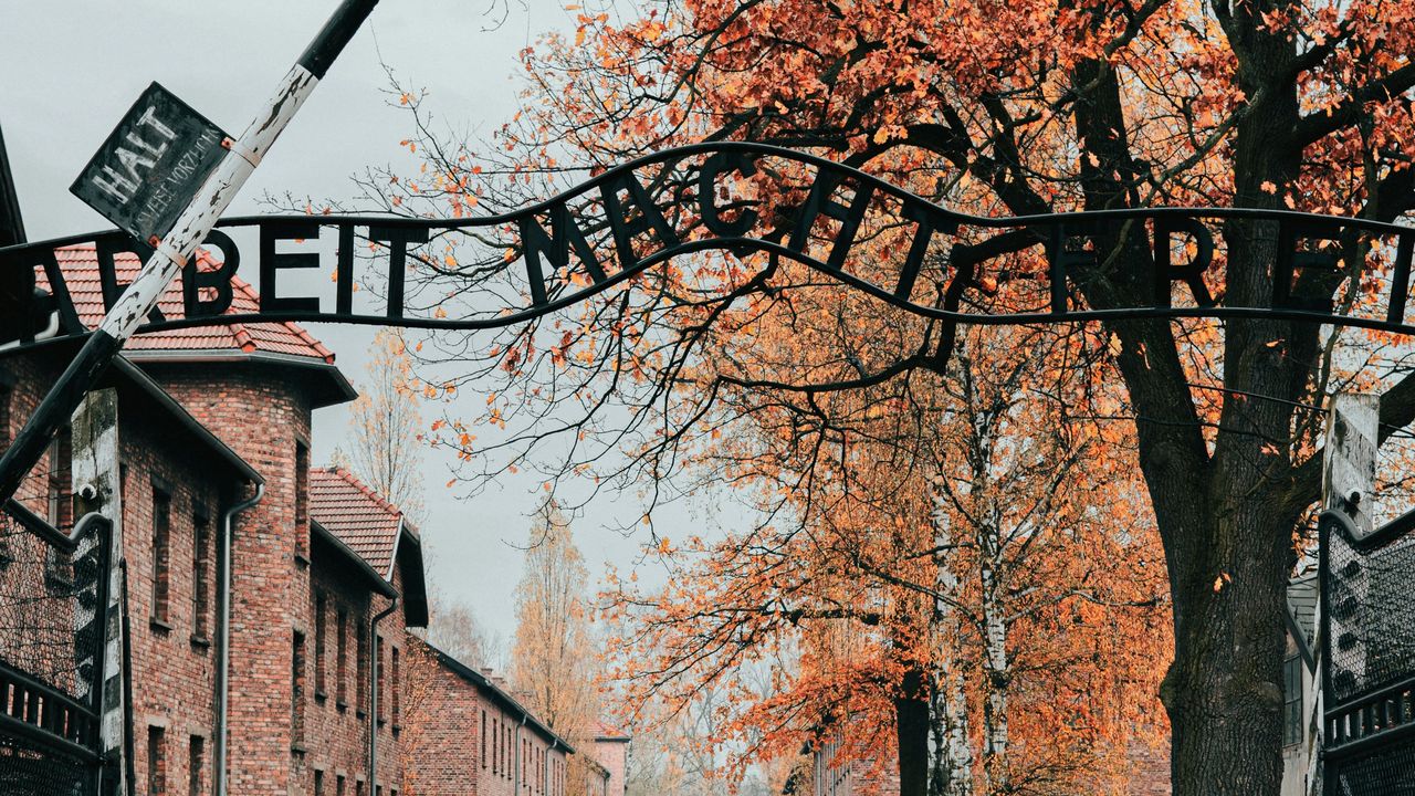 Kolejna aukcja rzeczy z Auschwitz. Brak reakcji Polski