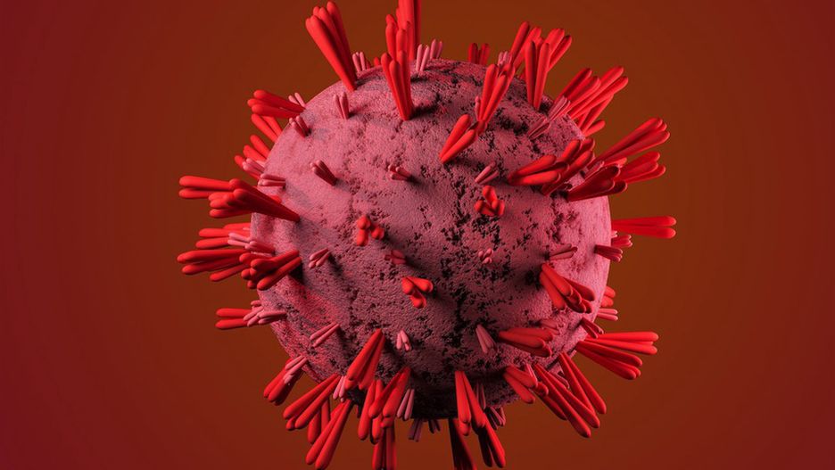 Wirus Zika może rozprzestrzenić się na świecie w ciągu nadchodzących kilkudziesięciu lat