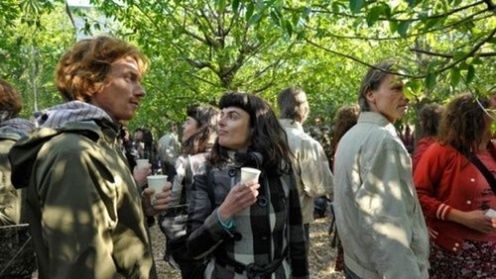 Las w pudełku, czyli zielona iluzja 1