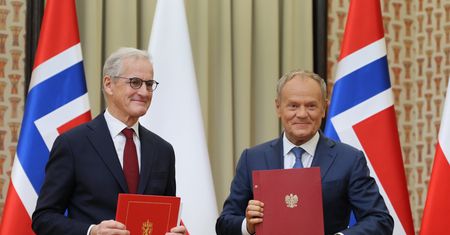 Polska pokazała listę "strategicznych partnerów". Brakuje np. Niemiec