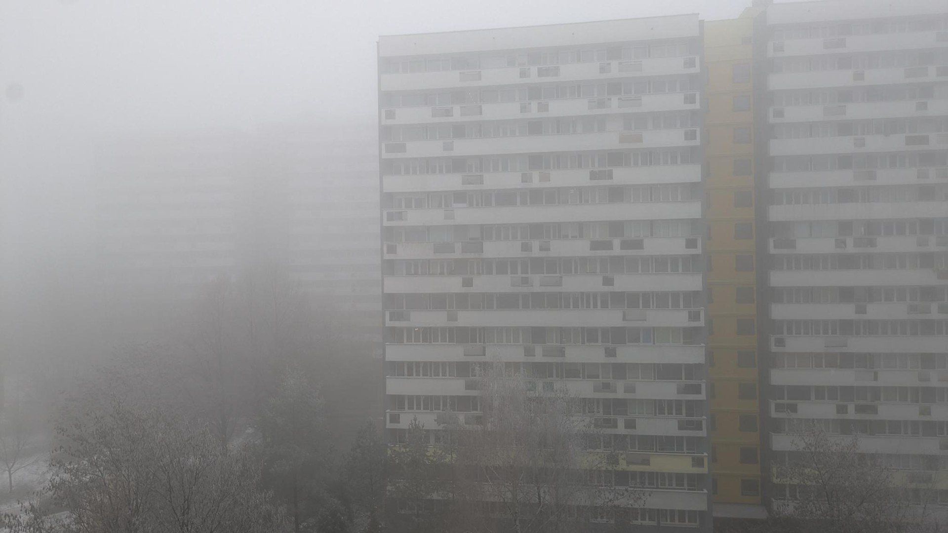 Śląskie pod grubą warstwą mgły. Trudne warunki na drogach. Sprawdź prognozę pogody na kolejne dni