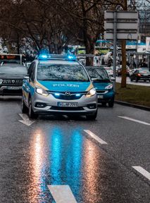 Naloty na domy neonazistów. Władze zdelegalizowały ich organizację