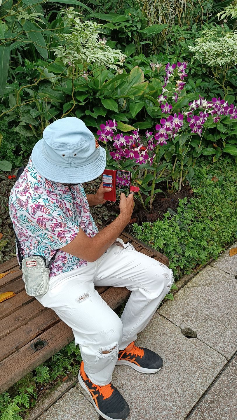 Na miejscu jest 1000 gatunków orchidei