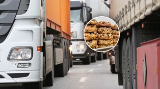 Transport z Egiptu zatrzymany. To miało trafić do sprzedaży w Polsce