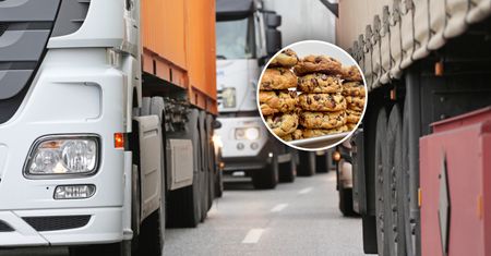 Transport z Egiptu zatrzymany. To miało trafić do sprzedaży w Polsce