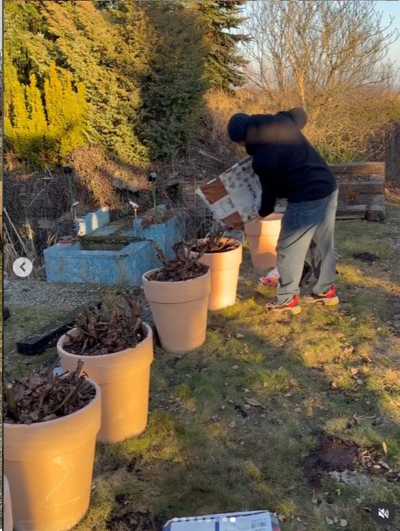 Andrzej Piaseczny poczuł wiosnę w ogrodzie