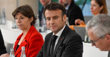 Tak walczą z emisją spalin. Francja chce zasadzić "miliard drzew"
