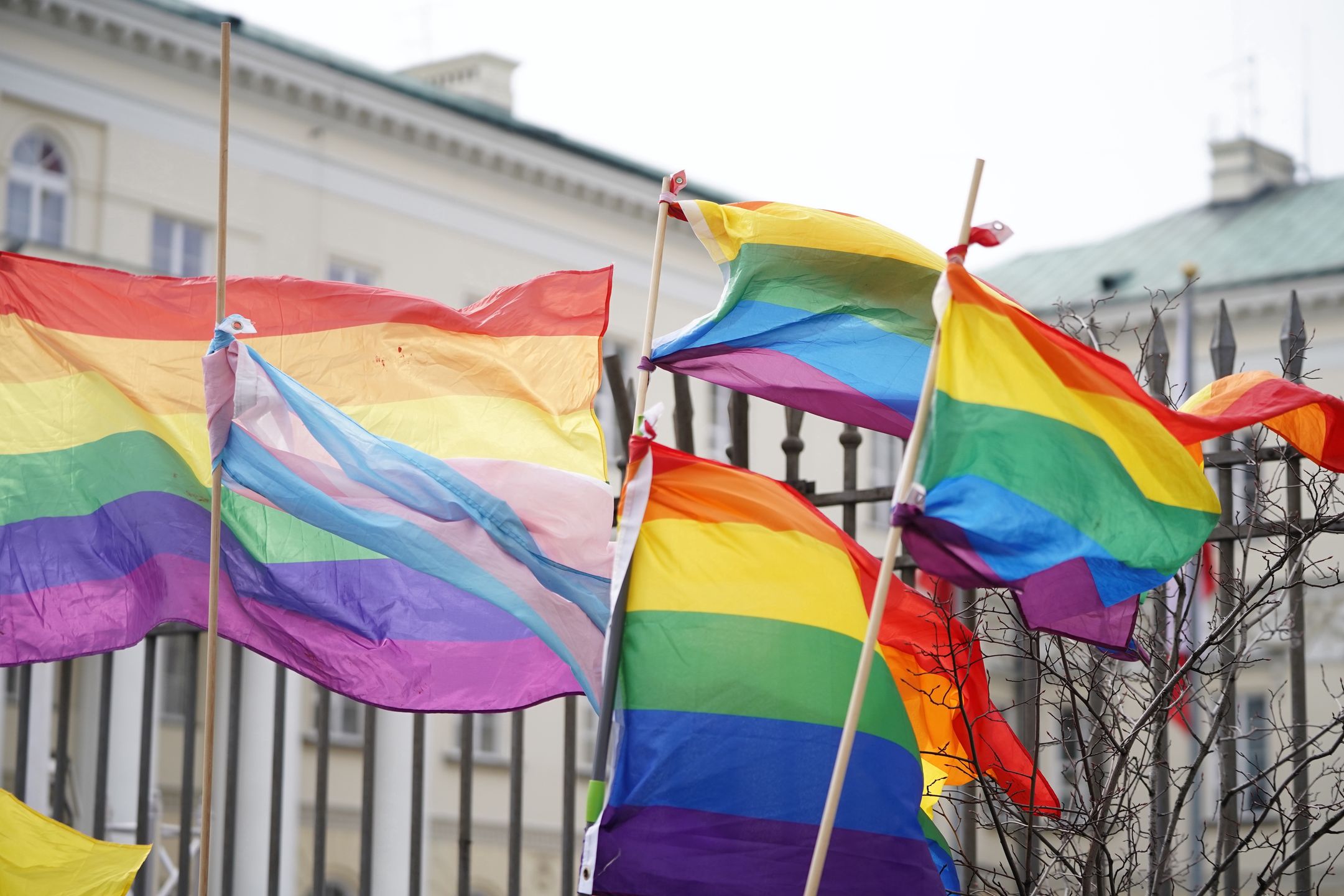 flagi lgbt