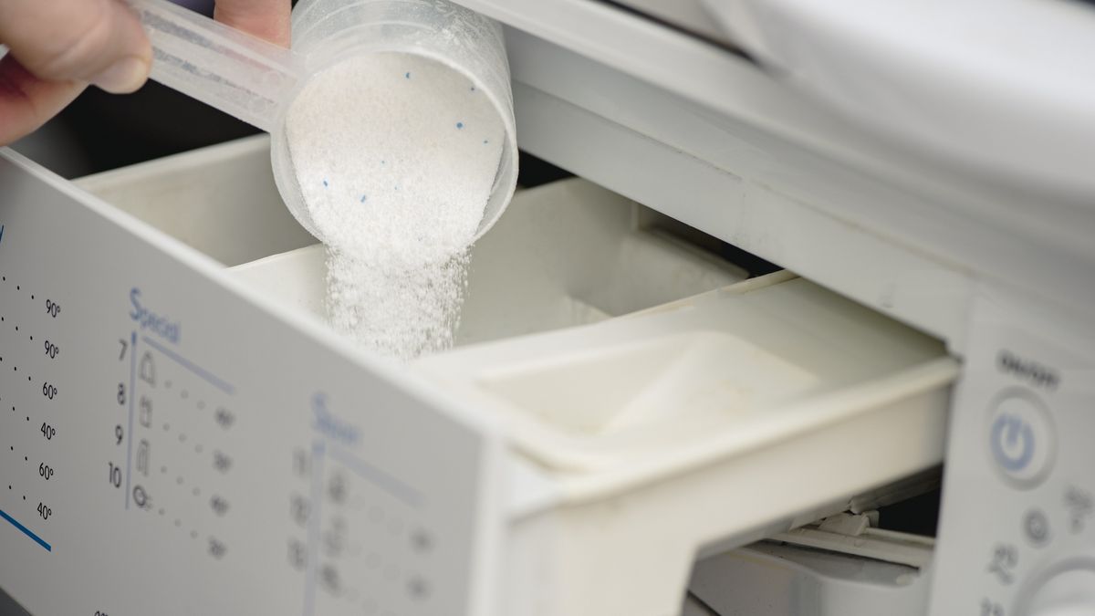 Pouring washing powder in washing machine
Pouring washing powder in washing machine
Emilija Manevska