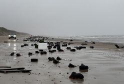 Nietypowy widok na duńskich plażach. Morze wyrzuciło to na brzeg
