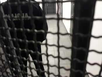 Znany zawodnik trafi do aresztu. Sąd podjął decyzję po brutalnym pobiciu młodych Ukraińców