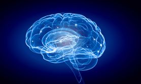 Naukowcy odkryli sposób na wymazywanie ludzkiej pamięci