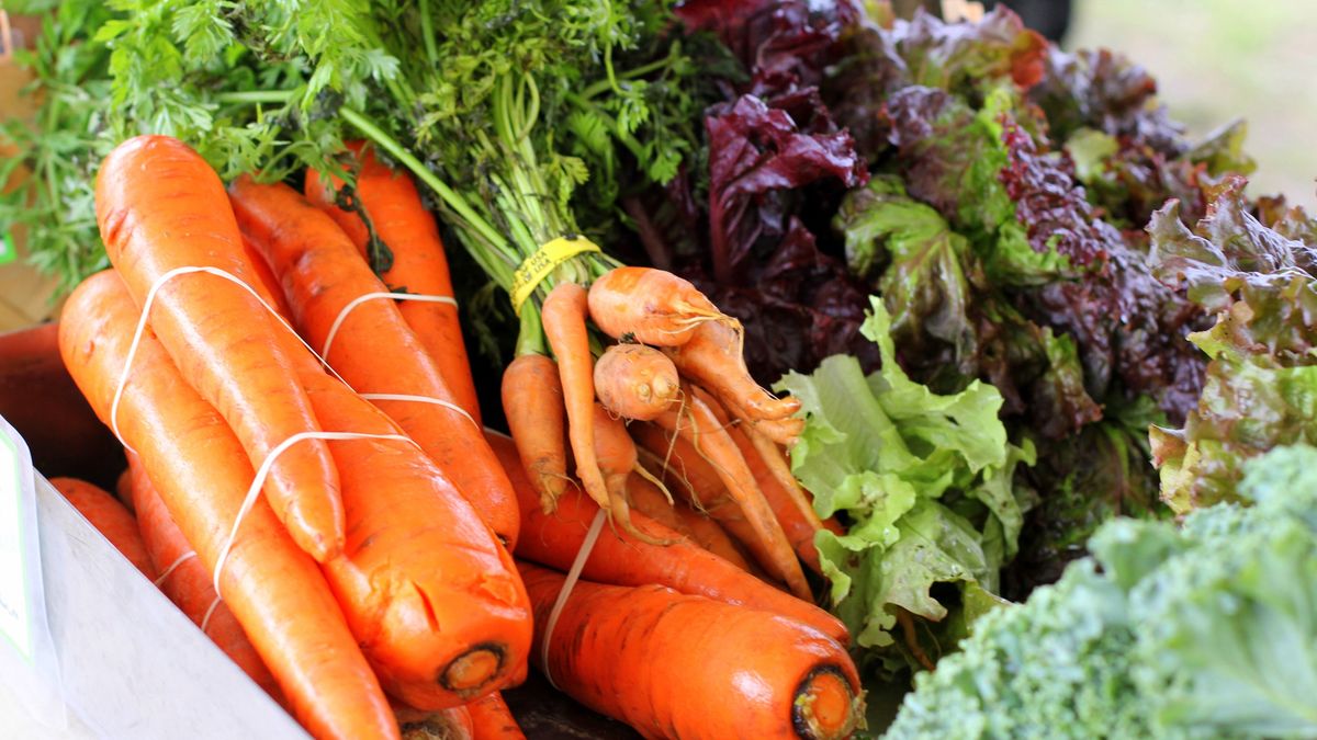 Odchudzanie dla każdego