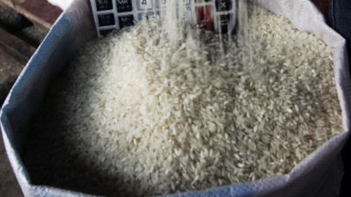 Australijscy naukowcy wykryli plastik w ryżu, piwie i soli. Nowe badanie