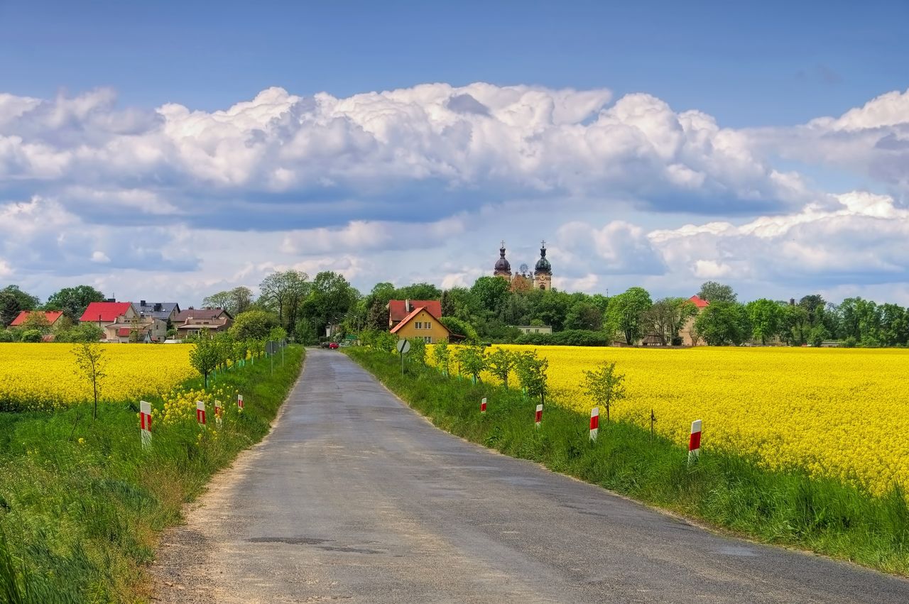 Legnickie Pole pełne skarbów. Na terenie gminy znaleziono monety sprzed prawie 2 tys. lat