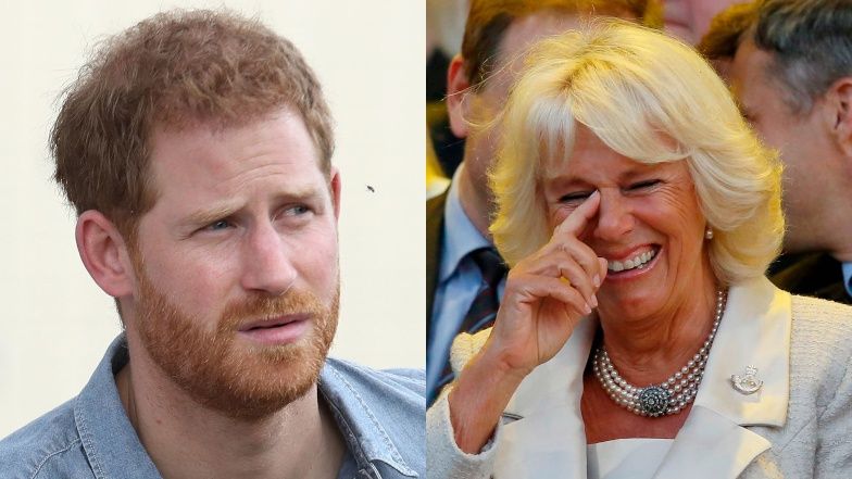 Książę Harry oskarża królową Camillę o konszachty z mediami
