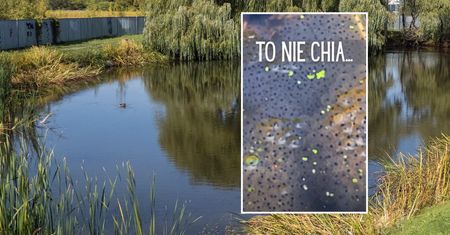 Nagrali ciekawe wodne zjawisko. Leśnicy wyjaśniają: "To nie chia..."
