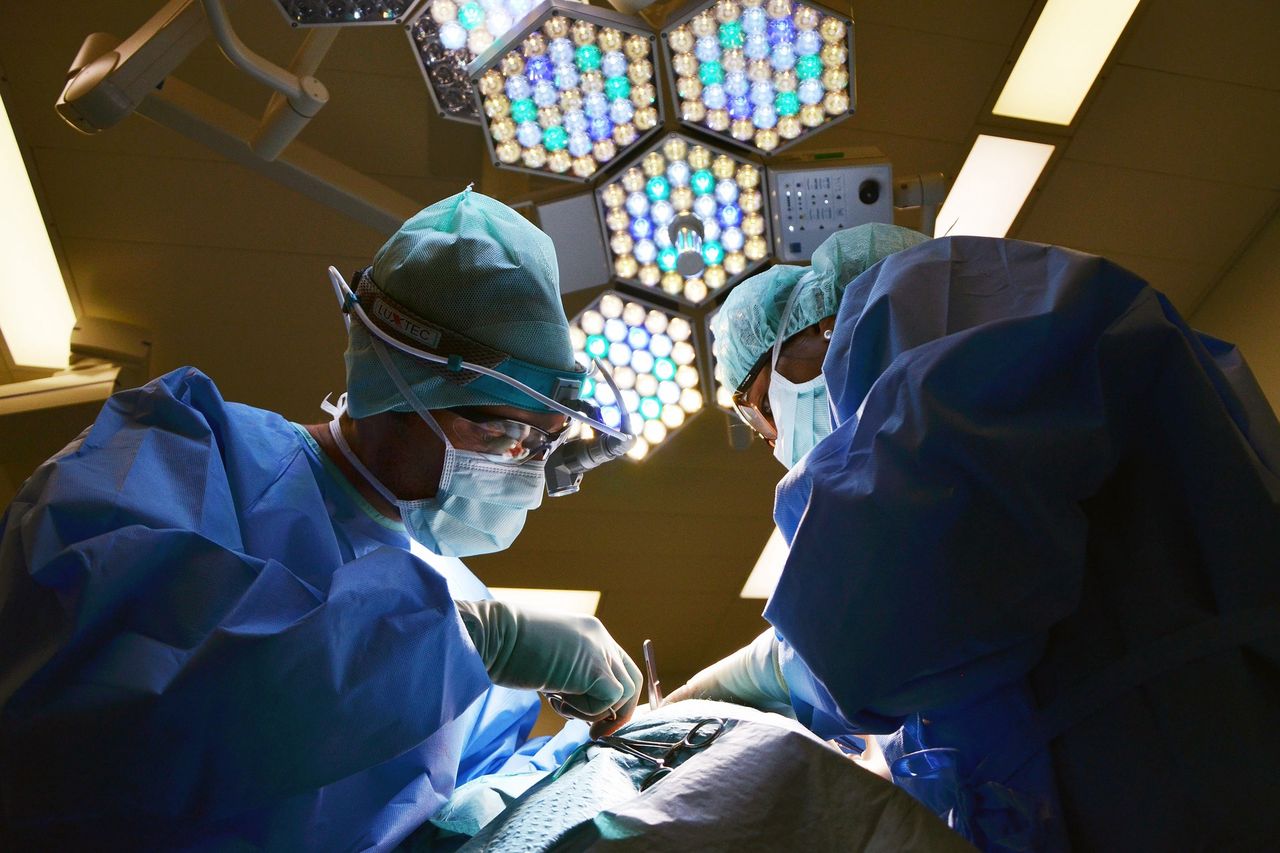 Man receives world's first pig kidney transplant but unfortunately dies
